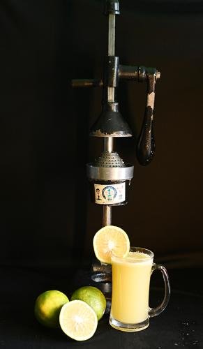 Manual Citrus Juicer